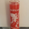 7 Day Blessed Candles - Run Devil Run
